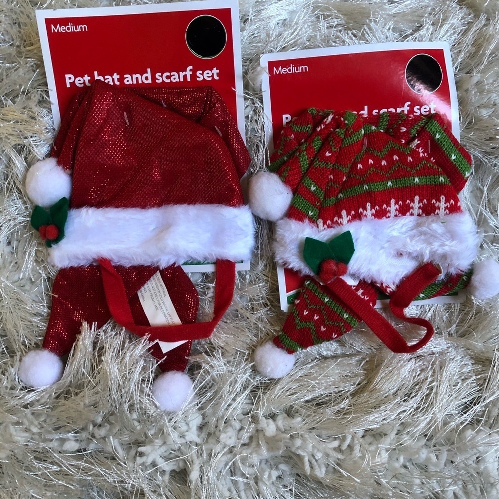 Pet Santa hat and scarf